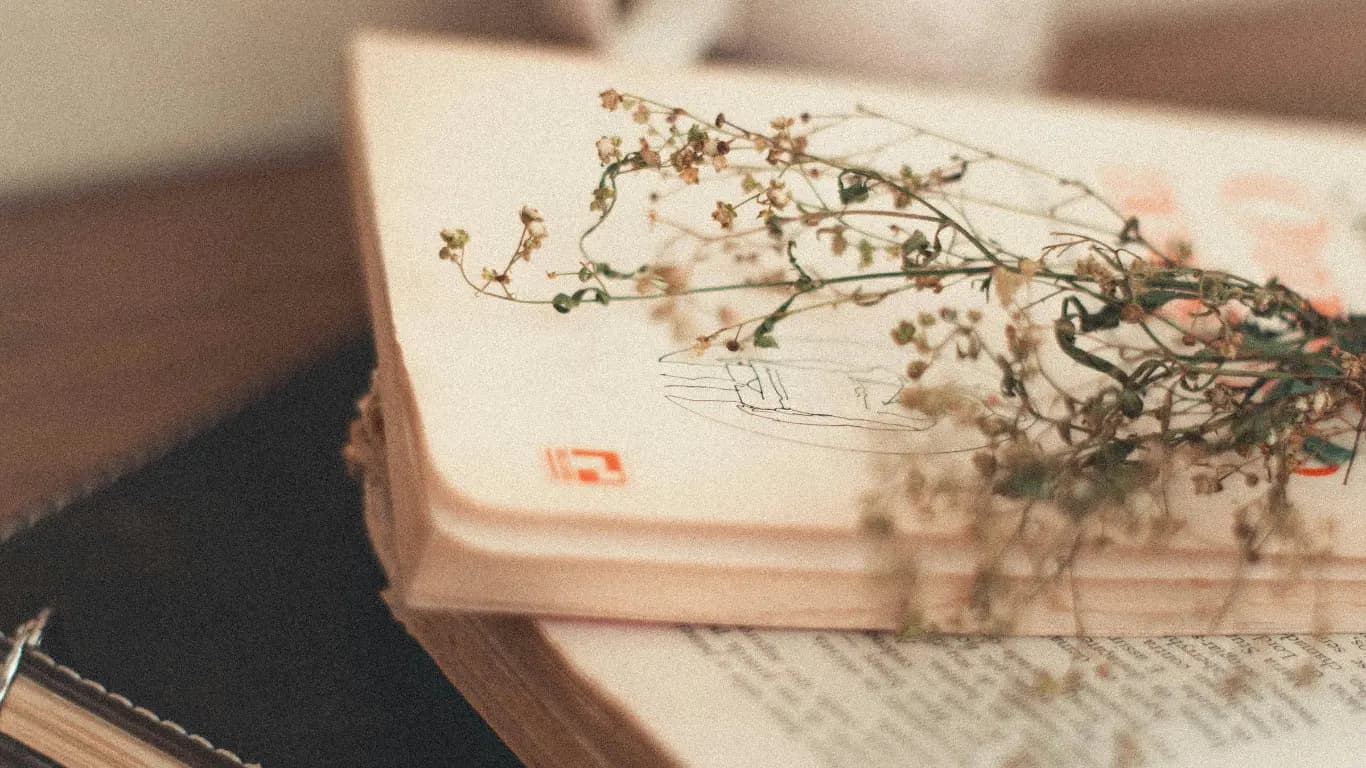 Thyroid Antibodies and Hashimoto’s: Do You Really Need to Keep Checking Them?